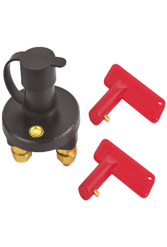 COUPE BATTERIE 100A 12/24V
